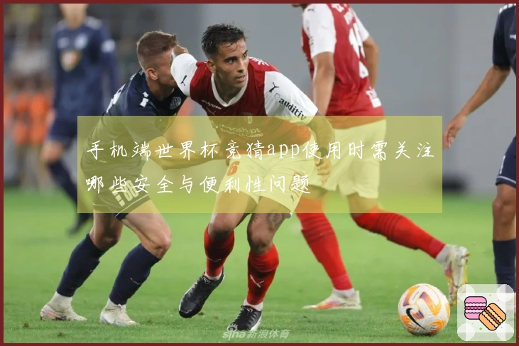 手机端世界杯竞猜app使用时需关注哪些安全与便利性问题